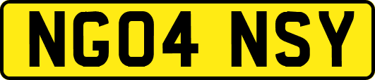 NG04NSY