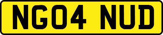 NG04NUD