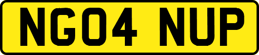 NG04NUP