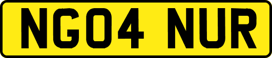 NG04NUR