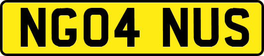 NG04NUS