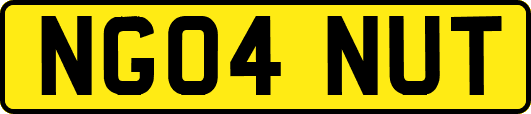 NG04NUT