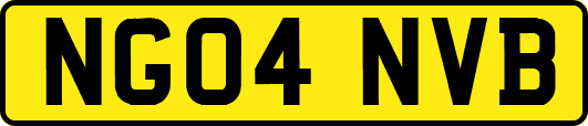 NG04NVB