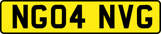 NG04NVG