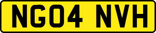 NG04NVH