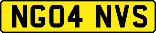 NG04NVS