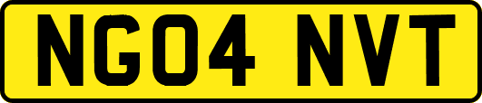 NG04NVT