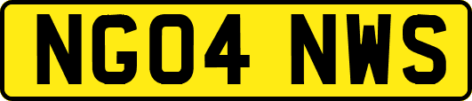 NG04NWS