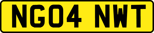 NG04NWT