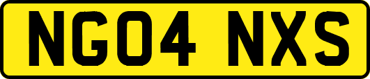 NG04NXS