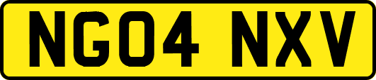 NG04NXV