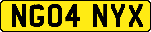 NG04NYX