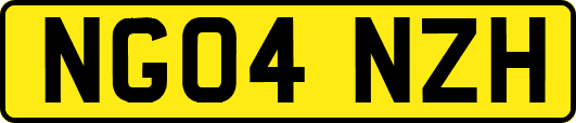 NG04NZH