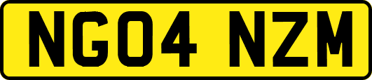 NG04NZM