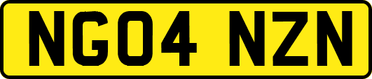 NG04NZN