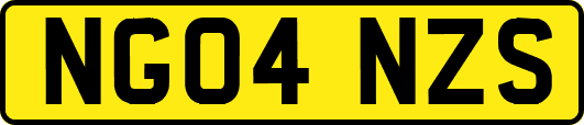 NG04NZS