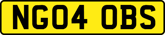 NG04OBS