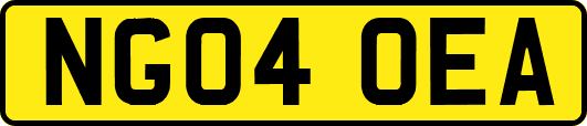 NG04OEA
