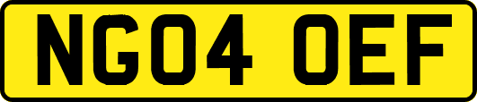 NG04OEF