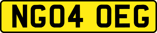 NG04OEG