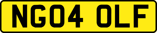 NG04OLF