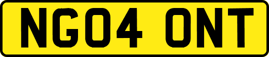 NG04ONT