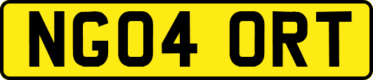 NG04ORT