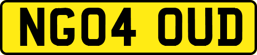 NG04OUD