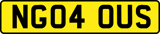 NG04OUS