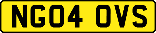 NG04OVS