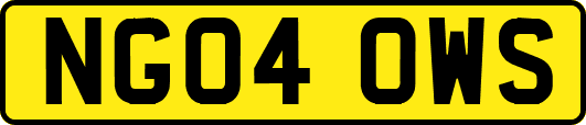 NG04OWS