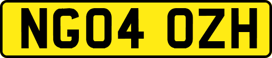 NG04OZH