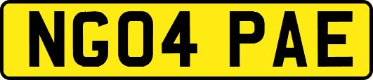 NG04PAE