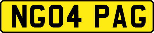 NG04PAG