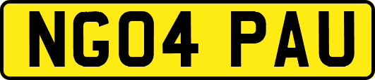 NG04PAU