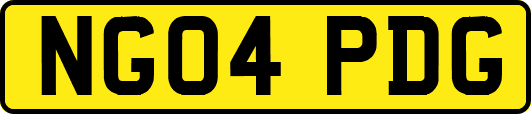 NG04PDG