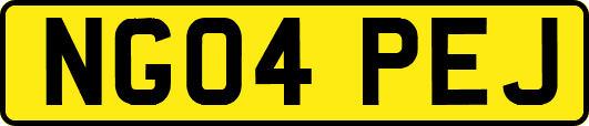 NG04PEJ