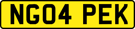 NG04PEK
