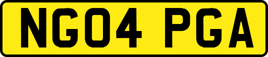 NG04PGA
