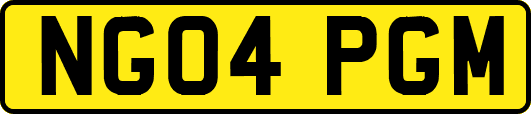 NG04PGM