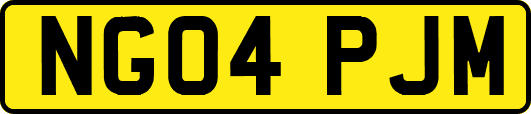 NG04PJM