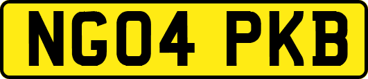 NG04PKB