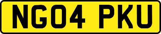 NG04PKU