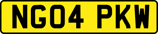 NG04PKW