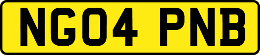 NG04PNB