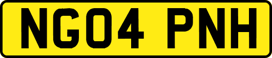 NG04PNH