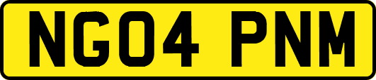 NG04PNM