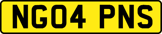 NG04PNS