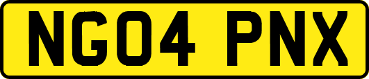 NG04PNX