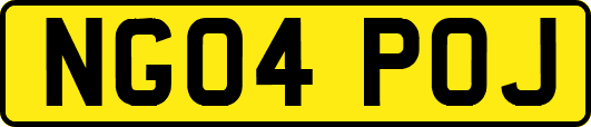 NG04POJ